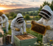 Beekeeper wearing protective bee suit and gloves while inspecting hive to prevent bee stings